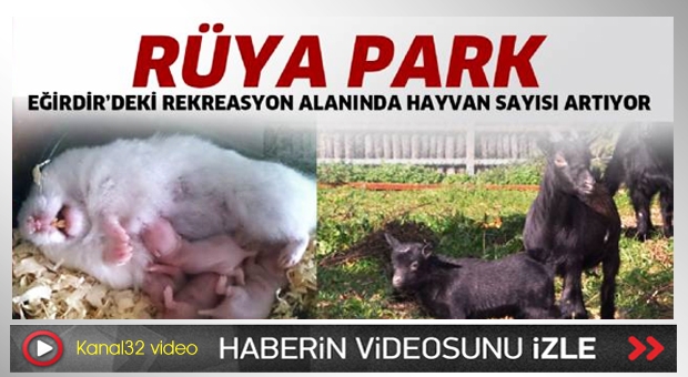 Eğirdir’deki rekreasyon alanında hayvan sayısı artıyor