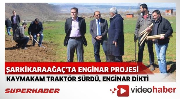 Şarkikaraağaç’ta enginar projesi