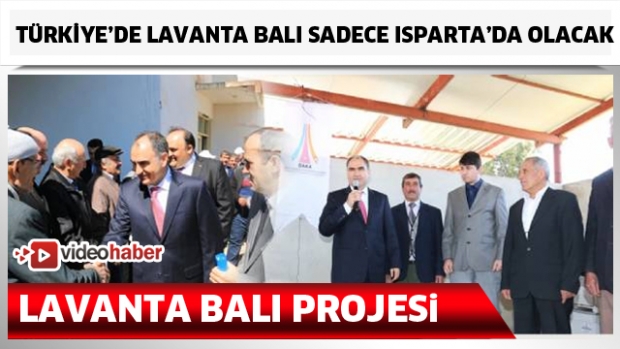 Isparta'da Lavanta balı projesi