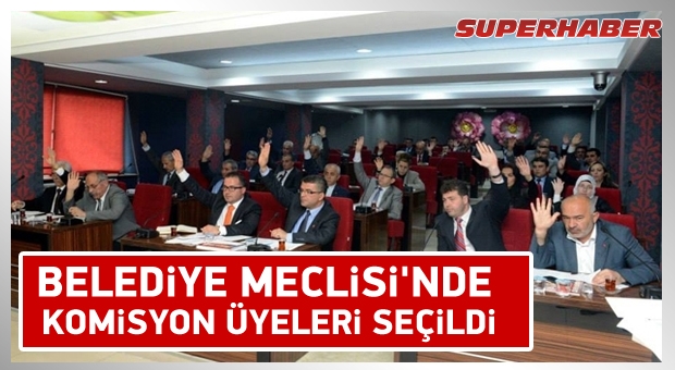 BELEDİYE MECLİSİ'NDE KOMİSYON ÜYELERİ SEÇİLDİ