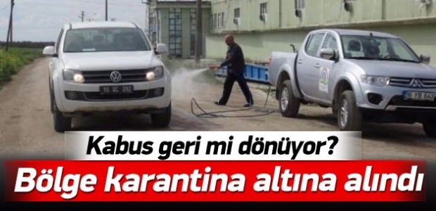 Edincik'te kuş gribi karantinası