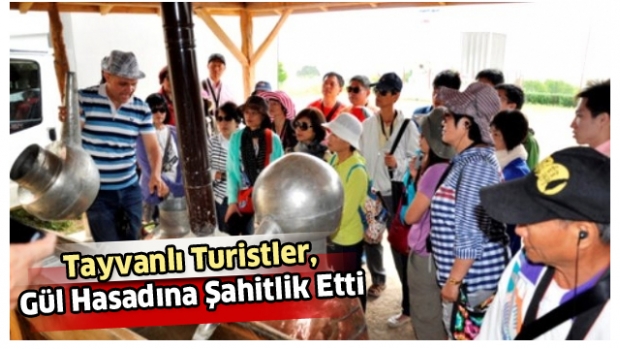 Tayvanlı Turistler, Gül Hasadına Şahitlik Etti