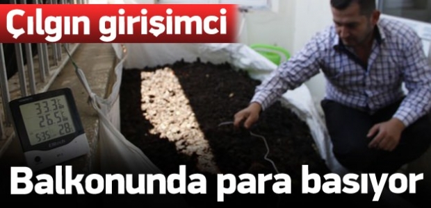 Çılgın girişimci balkonunda para basıyor