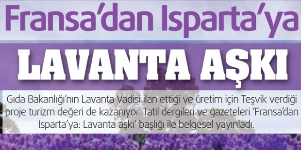 Provence’tan Isparta’ya LAVANTA AŞKI