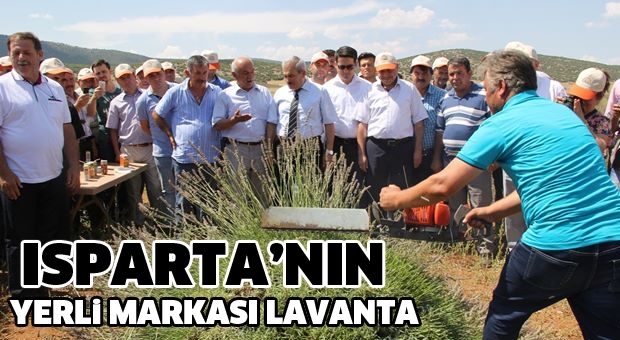 LAVANTA YENİ MARKAMIZ 