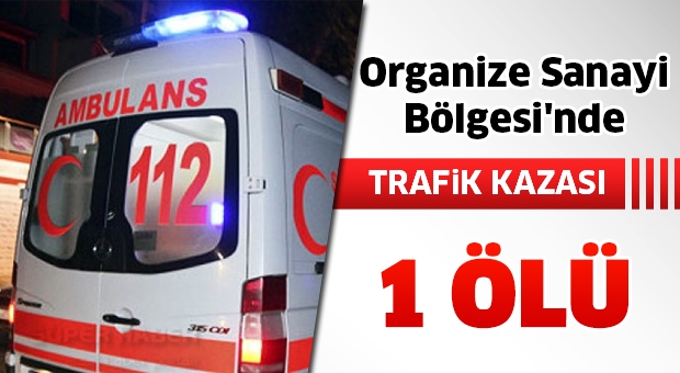 Organize Sanayi Bölgesi'nde Trafik Kazası: 1 Ölü, 1 Yaralı