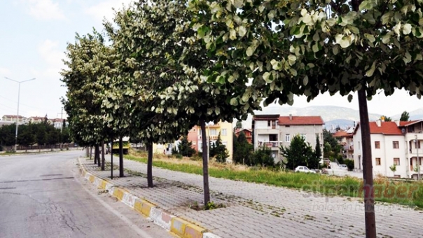 Diğer Şehirlerde 200 Lira Isparta'da Bedava