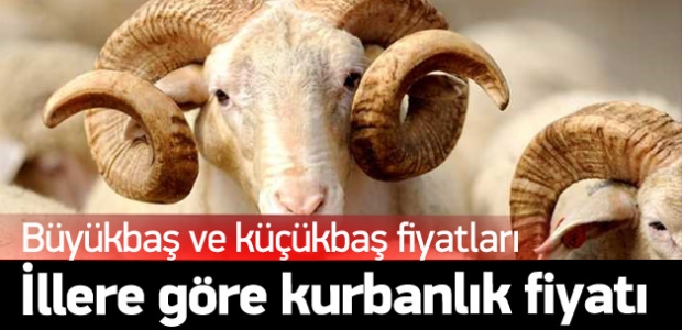 Türkiye'de illere göre kurbanlık fiyatları