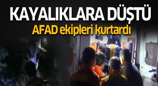 Kayalıklara düştü, AFAD ekipleri kurtardı