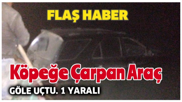 KÖPEĞE ÇARPAN ARAÇ GÖLE UÇTU. 1 YARALI