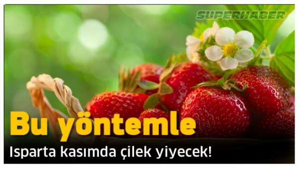 BU YÖNTEMLE ISPARTA KASIMDA ÇİLEK YİYECEK !