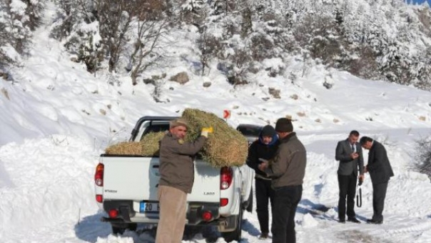 Isparta ve Bölgede Yaban Hayvanları Aç Kalmayacak