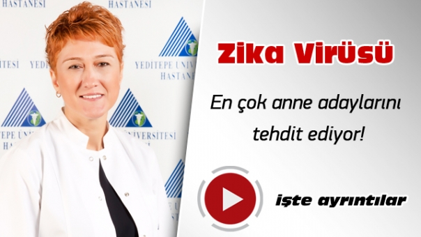 Zika Virüsü en çok anne adaylarını tehdit ediyor!