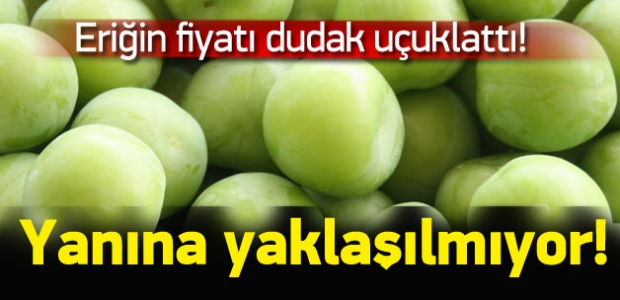 Eriğin Fiyatı Dudak Uçuklattı