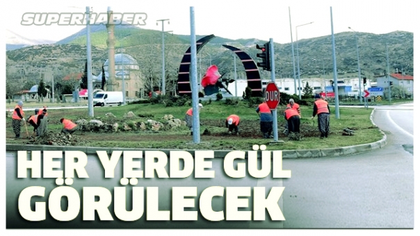 HER YERDE GÜL GÖRÜLECEK