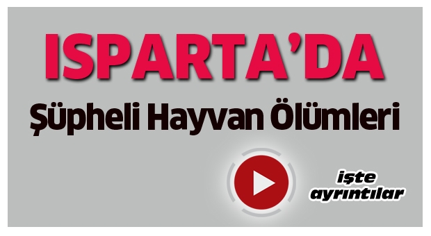 Isparta'da Şüpheli Hayvan Ölümleri