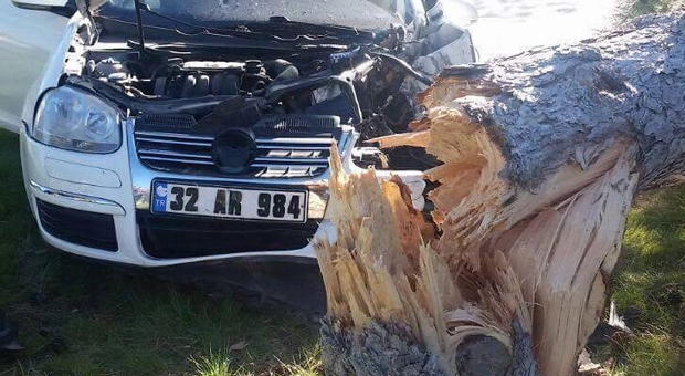 Isparta Trafik Kazası Yer Çünür Mahallesi Ağaç  Yıkıldı