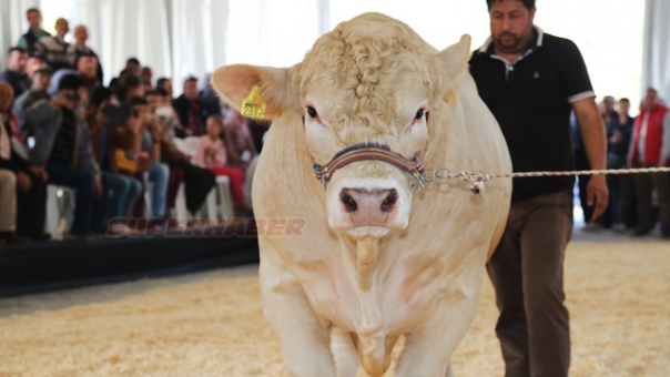 Burdur Fuarı'na iş dünyasından tam destek