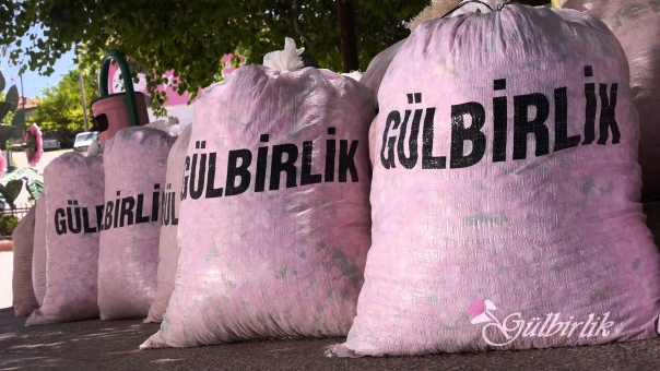 Gülbirlik 50.Kongresini bugün yapacak