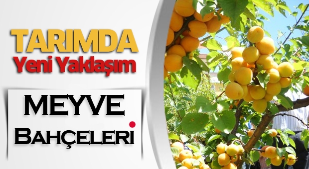 Tarımda yeni yaklaşım meyve bahçeleri