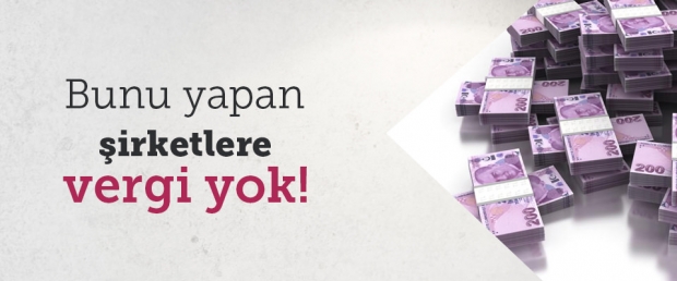 Bunu Yapan Şirketlere Vergi Yok!