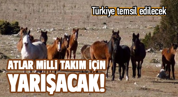 Isparta Gölcük'te Atlar, Milli Takım İçin Yarışacak!