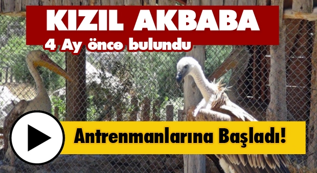 Kızıl Akbaba Antrenmanlarına Başladı