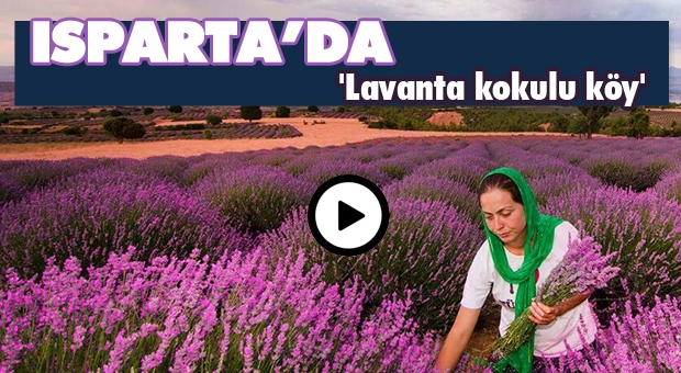 Isparta'da 'Lavanta kokulu köy'