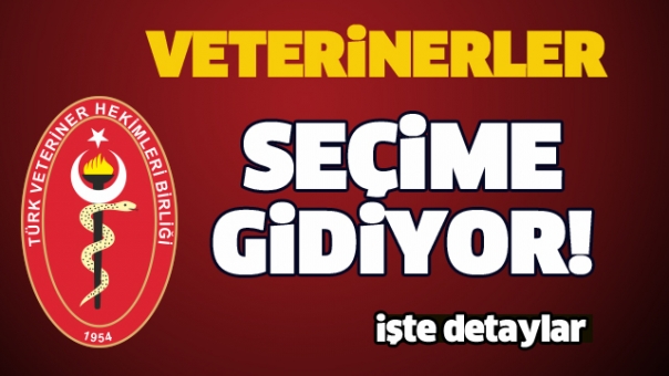 Isparta'da Veterinerler Seçime Gidiyor