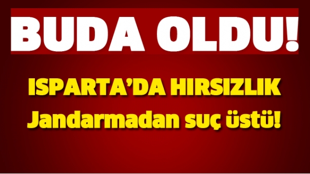 ISPARTA'DA HIRSIZLIK! JANDARMADAN SUÇ ÜSTÜ