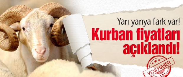 Kurban fiyatları açıklandı! Yarı yarıya fark var