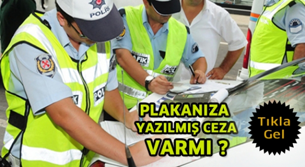 Plakanıza Yazılmış Trafik Cezası Var Mı?