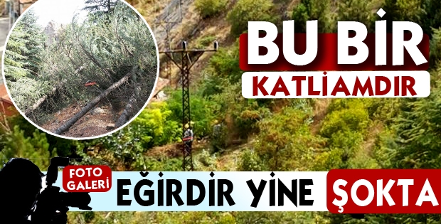 BU BİR KATLİAMDIR