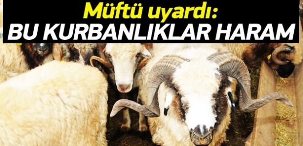 'Kaçak hayvanlar kurban sayılmaz'