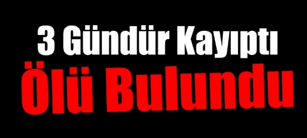 3 Gündür Kayıptı Evinde Ölü Bulundu