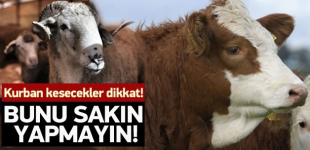 Kurban kesecekler dikkat! Bunu sakın yapmayın