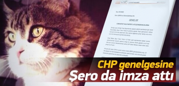 CHP'den Şero onaylı genelge