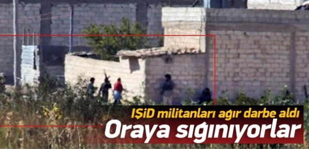 IŞİD militanları oraya sığınıyor!