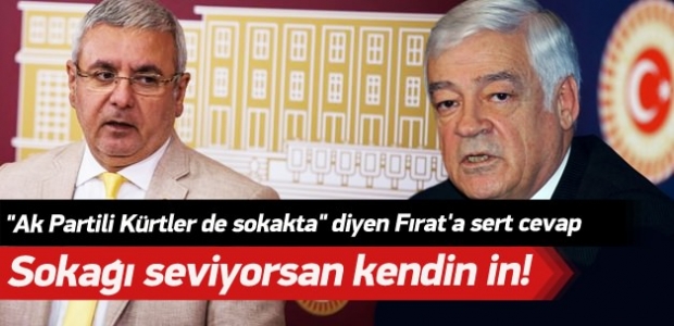 "Ak Partili Kürtler sokakta" diyen Fırat'a çıkıştı