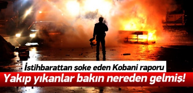 Şok rapor: Kobani'den gelip sokağa çıktılar