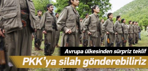 Almanya: PKK'ya silah gönderebiliriz