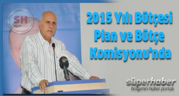 2015 Yılı Bütçesi Plan ve Bütçe Komisyonu'nda