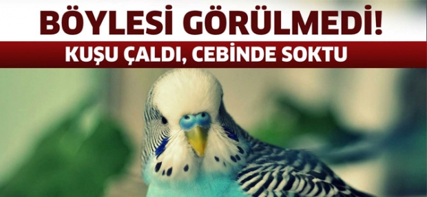 ÇALDIĞI KUŞU CEBİNE SOKTU