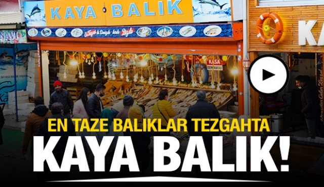 ISPARTA'DA EN TAZE BALIKLAR KAYA BALIK REYONLARINDA