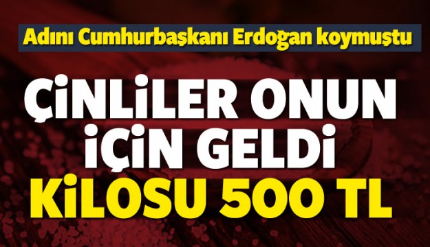 Adını Erdoğan koymuştu! Çinliler onun için geldi