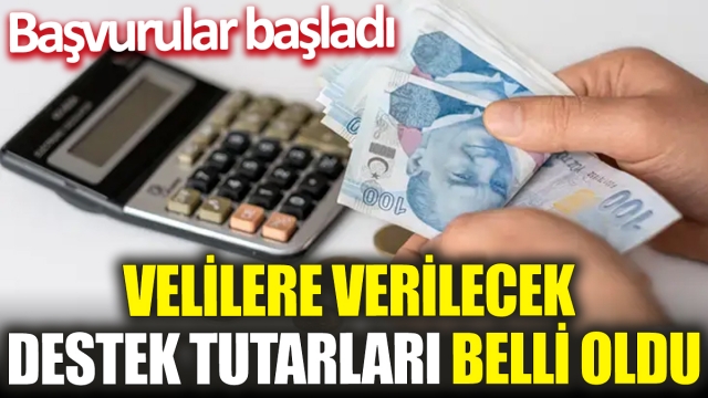 Ailelere Verilecek Destek Tutarları Güncellendi: Başvurular Başladı