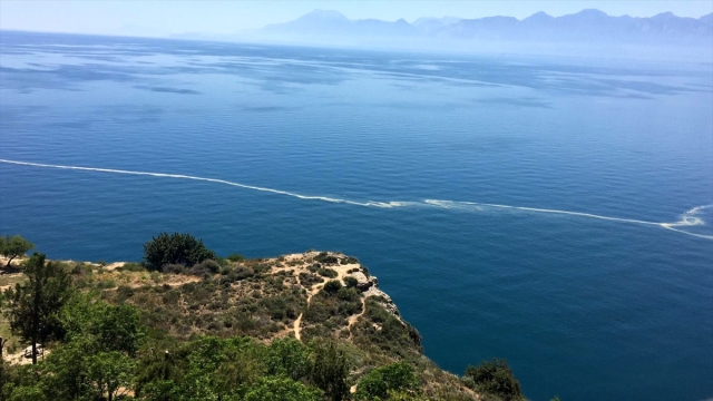 Antalya Büyükşehir Belediyesi: Deniz üzerindeki sarı madde polen tozu