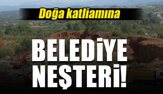 Antalya'da doğa katliamına belediye neşteri