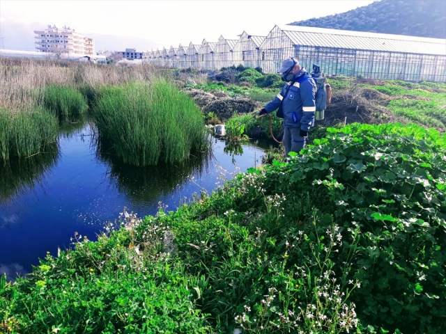 Antalya'da sinek ve haşereyle mücadele çalışmaları