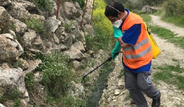 Antalya'da sinekle mücadele çalışmaları devam ediyor